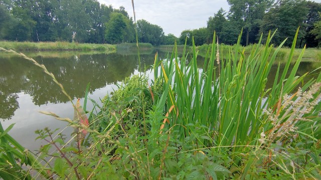 Park Grabek poleca się na wakacyjne odwiedziny Zobacz kolejne zdjęcia/plansze. Przesuwaj zdjęcia w prawo naciśnij strzałkę lub przycisk NASTĘPNE