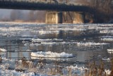 Warta w Lubuskiem pokryta "lodowymi naleśnikami". Na rzece pojawił się śryż