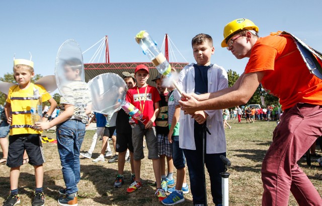 18.09.2015 rzeszow dzien owada happening ekologiczny dla dzievi bulwary rzeszowskie fot krzysztof kapica