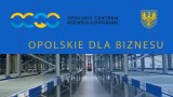 Opolskie dla biznesu. Lean managment coraz bardziej interesuje opolskie firmy 