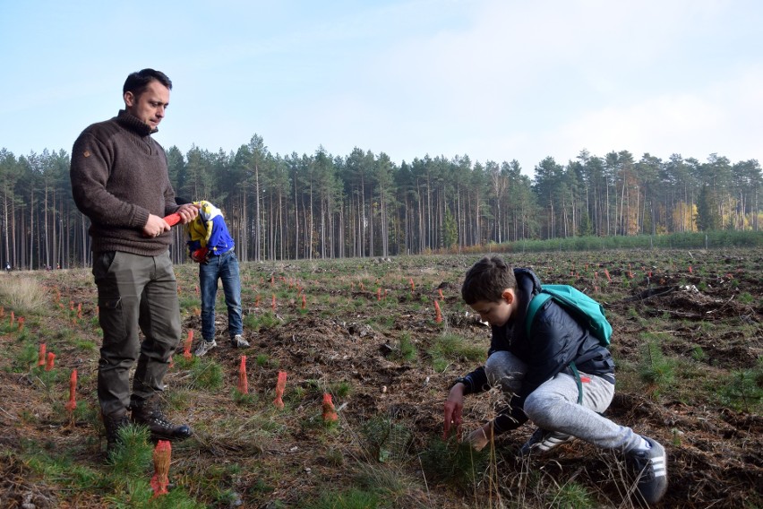 Drzewa dają życie – wspólny projekt SP w Dretyniu i Nadleśnictwa Dretyń (wideo, zdjęcia) 