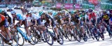 Tour de France 2022. Kolejny przypadek zakażenia COVID w kolarskiej ekipie Rafała Majki - UAE Team Emirates