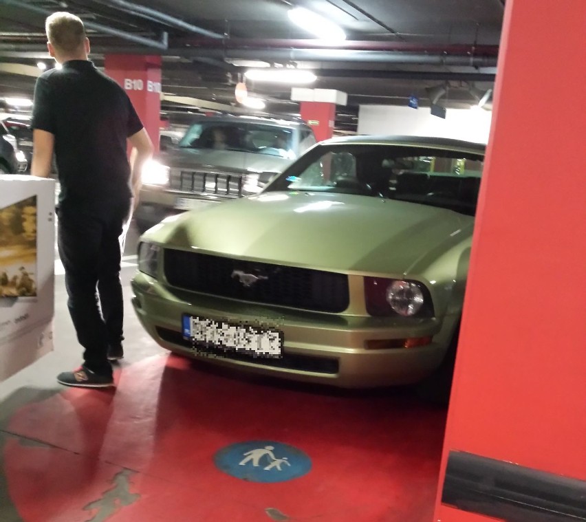 Galeria Alfa. Ford Mustang na pasie dla pieszych