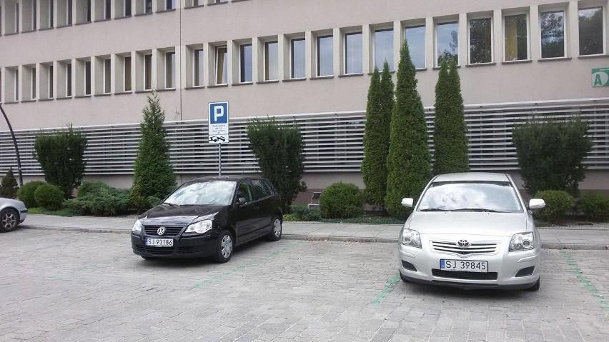 Jaworzno: kolejna w mieście zielona strefa parkowania ZDJĘCIA