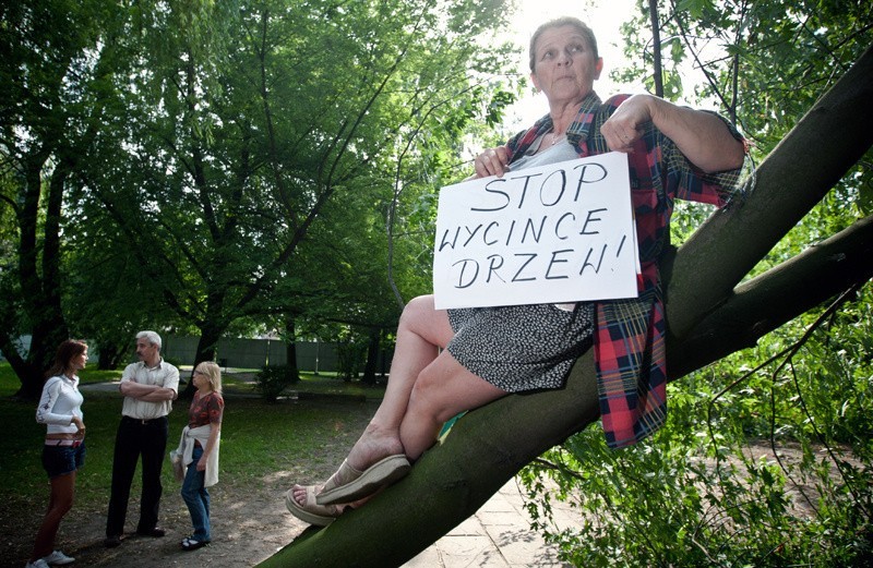 Mieszkańcy okolic skweru bronią zielonego zakątka.