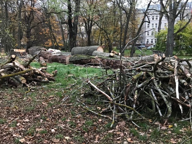 Wycinka drzew w parku przy ul. Noakowskiego