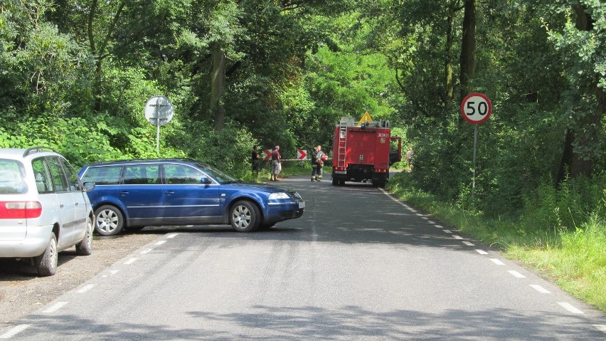Wypadek na Wilczyckiej. Bus zderzył się z ciężarówką (ZDJĘCIA)