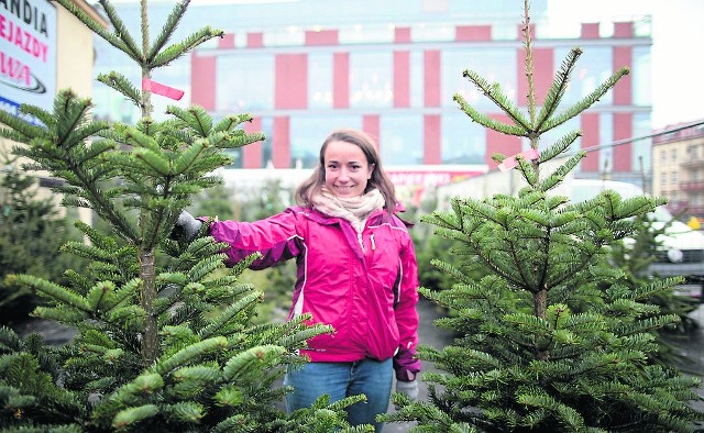 - Choinka, w zależności od gatunku i wysokości kosztuje od 50 do 150 złotych - mówi Joanna Magdziarz z firmy „Choinkowy raj”, która sprzedaje żywe drzewka na pl. Kopernika w Opolu.