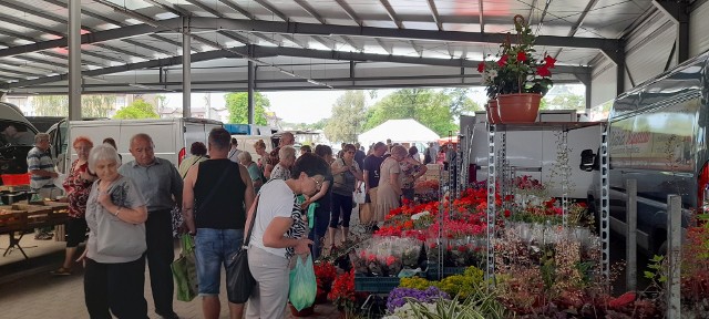 Mnóstwo osób w sobotę, 18 czerwca wybrało się na zakupy na targowisko w Ostrowcu Świętokrzyskim. Największym zainteresowaniem cieszyły się stoiska owocowo-warzywne oraz te ze świeżymi kwiatami i roślinami. Zobaczcie w galerii zdjęć>>>>