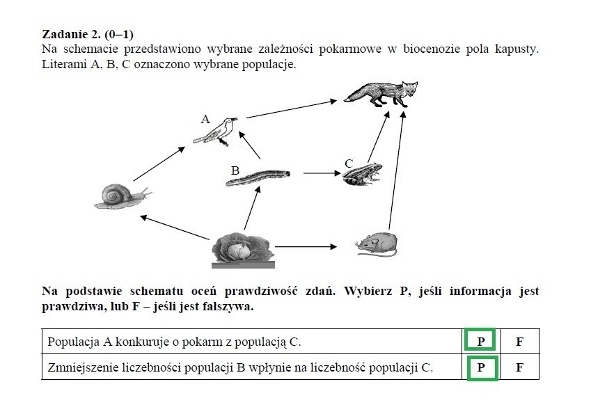 Egzamin gimnazjalny 2013 przyroda. Test z biologii, geografii, fizyki, chemii [ARKUSZE, ODPOWIEDZI]