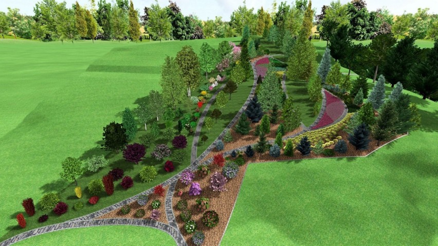 Projekt arboretum