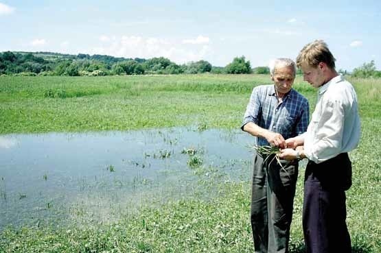 Adolf Labut z Przysiek pokazuje swoje zalane uprawy: ziemniaki, siano. Młodszy rolnik to Jacek Stygar z Trzcinicy.