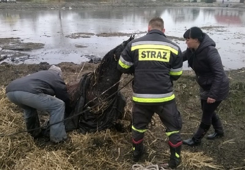 W akcji ratunkowej brały udział cztery zastępy straży...