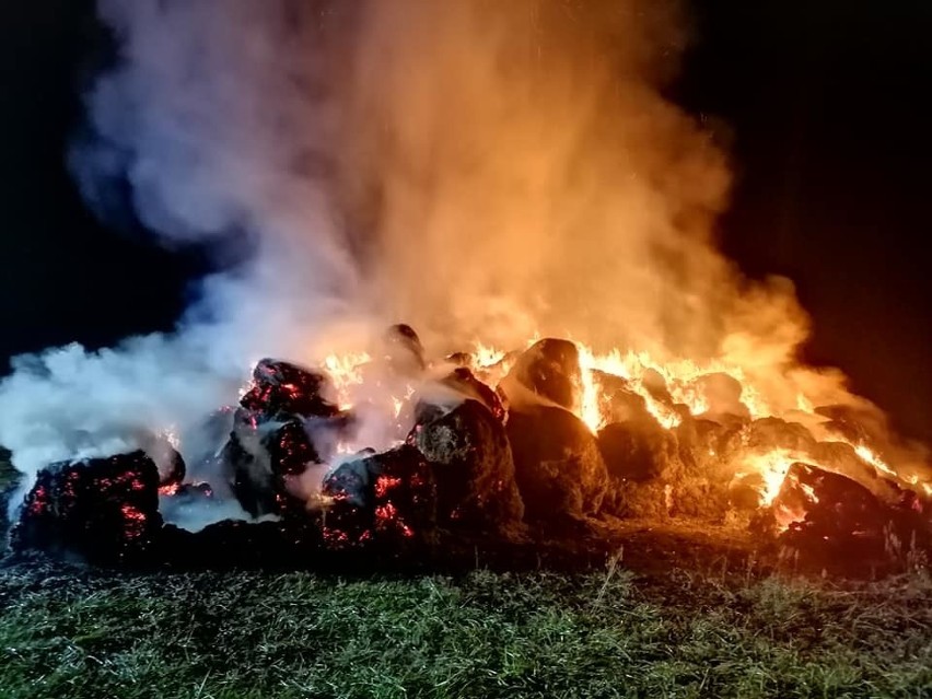 Wieczór 16 sierpnia, noc aż po poranek 17.08.2019 r. były...