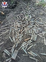 Kilkaset sztuk amunicji znalezione podczas prac w ogródku w gminie Chełm