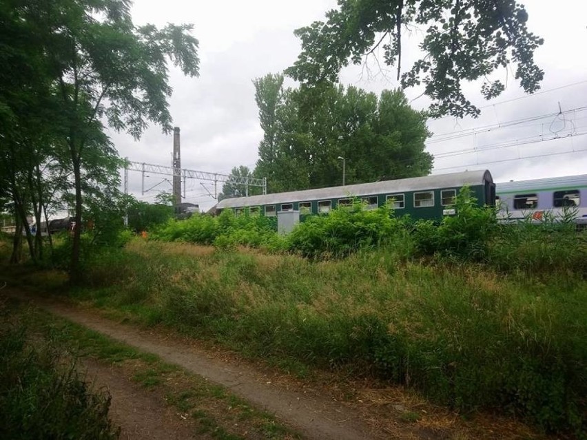 Z kolei na trasie Zbąszyń - Nowy Tomyśl występują około 20...