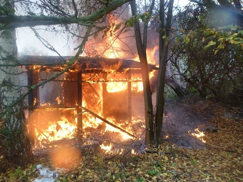 Pożar domku działkowego na Granitowej w Podjuchach [ZDJĘCIA] 