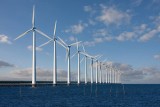 Polska energia z morskiego wiatru. Ekspert: Nasz kraj ma ogromny potencjał w dziedzinie offshore wind