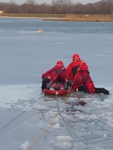 Wieliccy strażacy uratowali tonącego psa. Użyli sań lodowych [ZDJĘCIA]