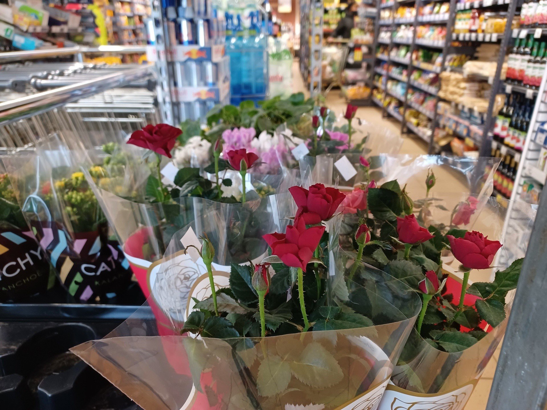 Kupując rośliny w supermarkecie, możesz się naciąć! Zobacz