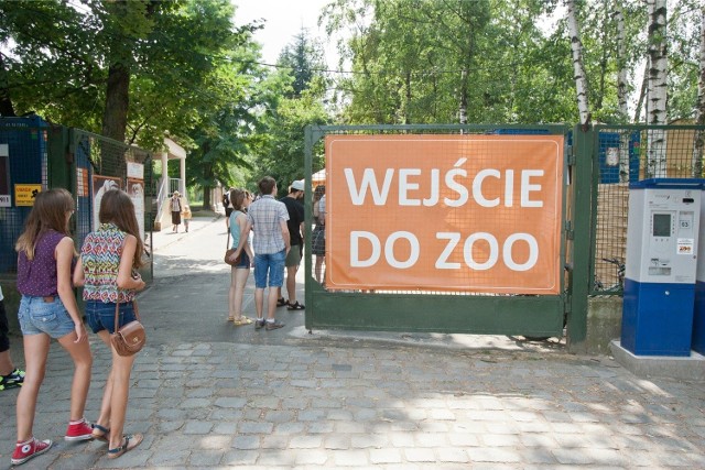 Boczne wejście (gospodarcze) do wrocławskiego zoo. Podczas remontu głównego wejścia, to tędy wchodziliśmy do ogrodu - zdjęcie ilustracyjne