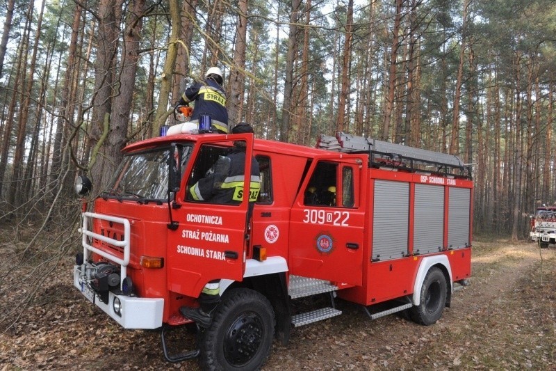 - Widziałem jak strażacy w Dylakach już kolejną godzinę...