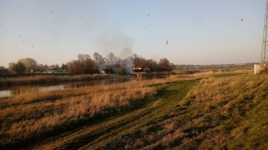 Pożar traw przy kanale Ulgi w Gorzowie wybuchł w niedzielę,...