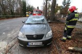 Drzewo spadło na toyotę. Ulica Sudecka była zablokowana