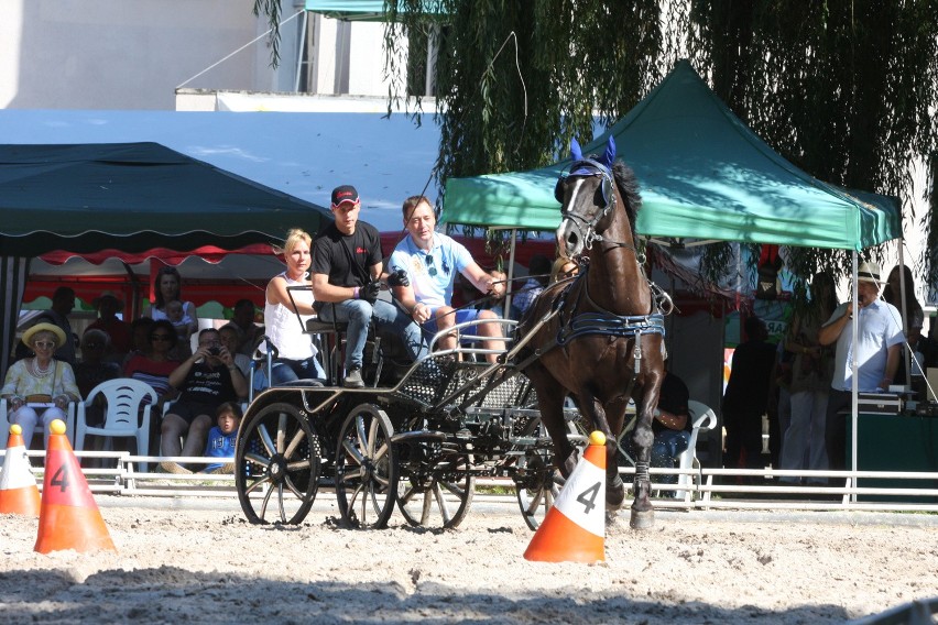 XIX Jeździeckie Mistrzostwa Gwiazd Lewada Art Cup w...