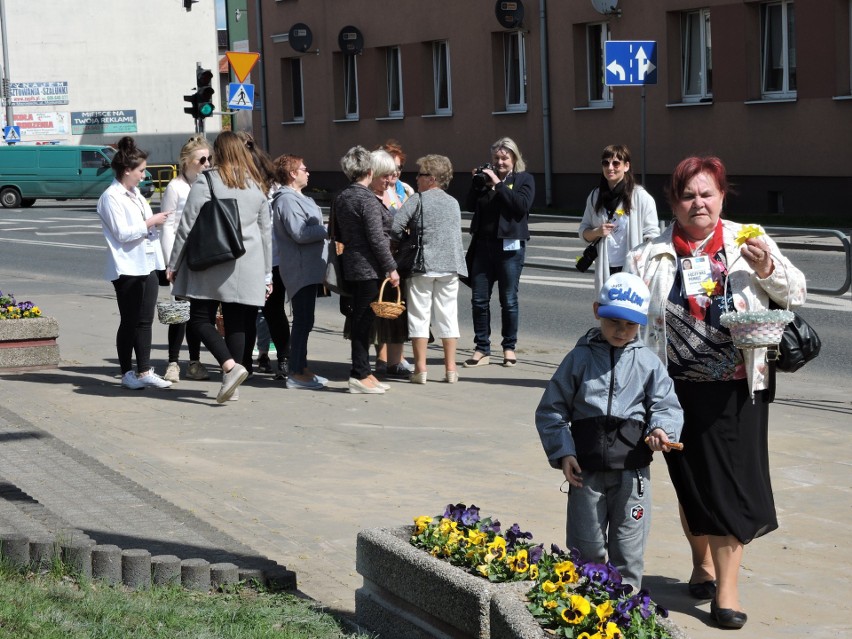 Maków Maz. Akcja żonkil w 75. rocznicę powstania w getcie warszawskim [ZDJĘCIA]