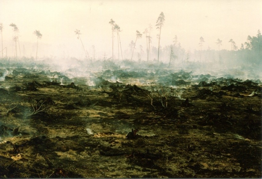 Pożar pochłonął 10 tys. hektarów lasu.