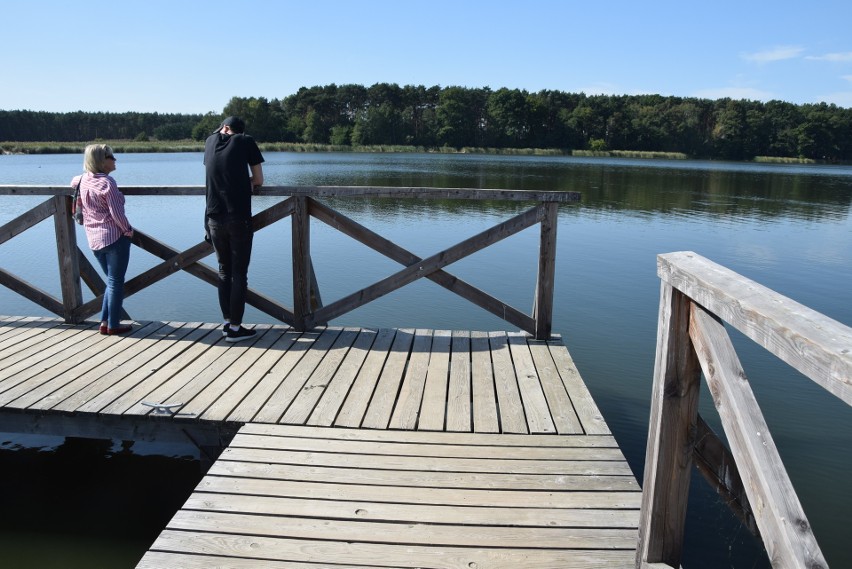 Jezioro Wojnowskie, park, miejscowość we wrześniowej krasie