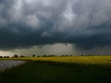 Trąba powietrzna przeszła nad Dolnym Śląskiem! [FILM, ZDJĘCIA]