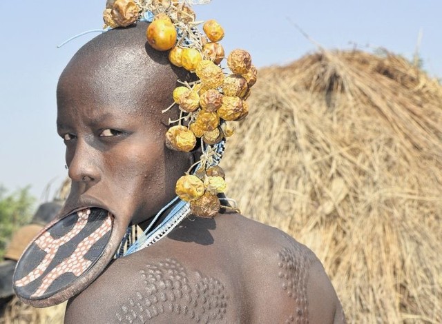 Kobiety z somalijskiego plemienia Mursi mają w wargach okrągłe plakietki ceramiczne, zdejmowane tylko do jedzenia. A w zdobieniu ciała skaryfikacjami pomaga im narzeczony. Biczem!