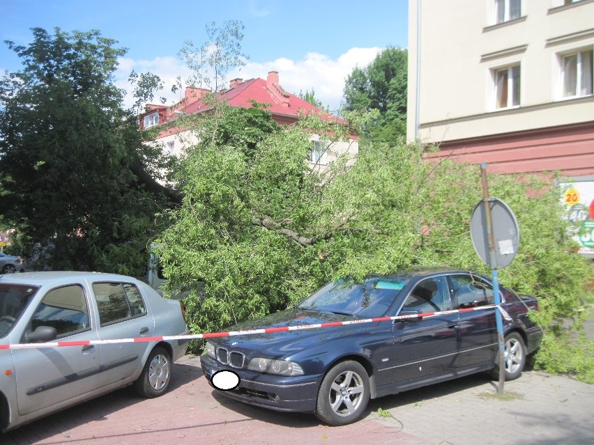 Na ul. Puławskiej połamane drzewo uszkodziło cztery samochody (ZDJĘCIA)
