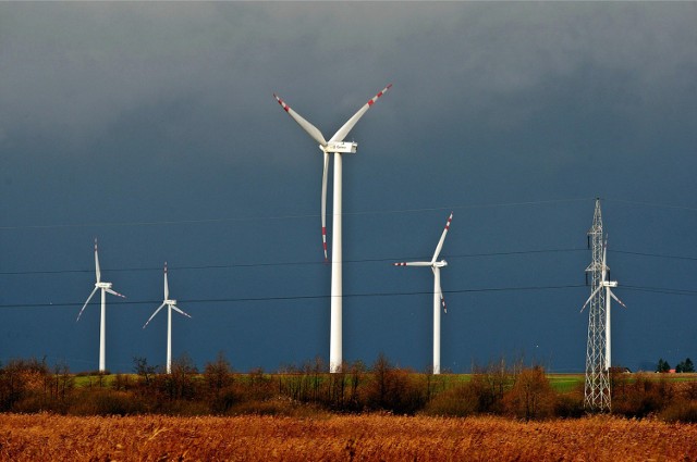 Czermin: Nie będzie farmy wiatrowej 