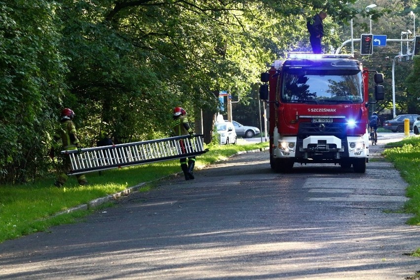Akcja straży pożarnej w parku Szczytnickim we Wrocławiu...