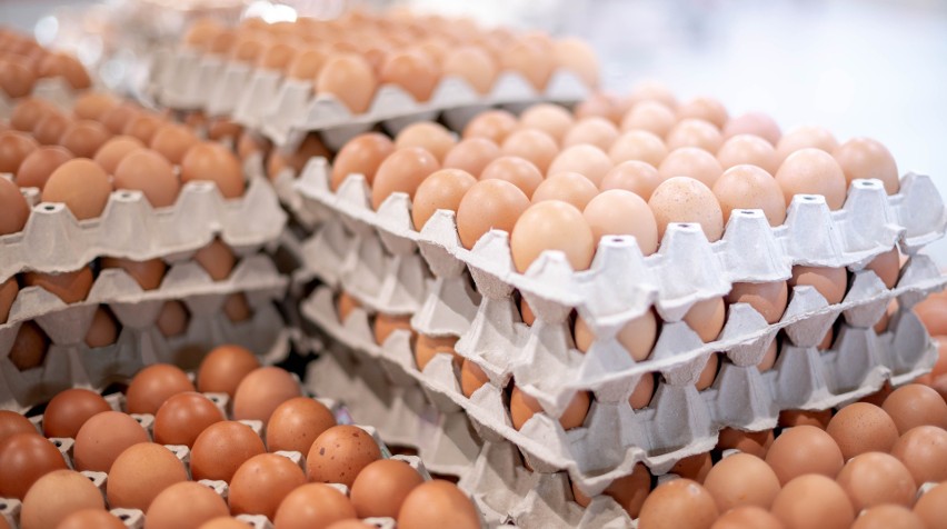 NIE/TAK. Jedzenie surowych jajek naraża nas na zakażenie...
