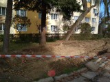 W Skawinie sprzed bloku znikną drzewa. Będzie parking i protest ludzi