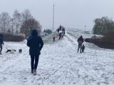 Śnieg w Poznaniu. Niektórzy nawet ruszyli na sanki! Zobacz zdjęcia