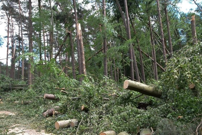 Trąba powietrzna przeszła nad Złocieńcem. Minął rok od katastrofy [archiwalne zdjęcia, wideo]