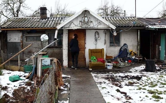 Dziś dziewiąty dzień poszukiwań ciała 1,5 rocznego chłopca, którego zwłoki zakopano w lesie.Tropu nie znalazły nawet specjalne szkolone psy z Poznania. Policjanci przekopują delikatnie łopatami cały teren.