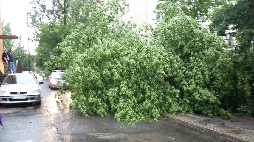 Najgorzej jest na ul. Fredry, Piłsudskiego, Czarneckiego i...