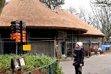 Nowa lwiarnia we wrocławskim zoo prawie gotowe! Zobacz, jak prezentuje się przyszły dom dla lwów