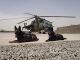 Dzielne psy na misji w Afganistanie (zdjęcia)