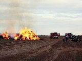 Pożary słomy, ściernisk i zboża na pniu