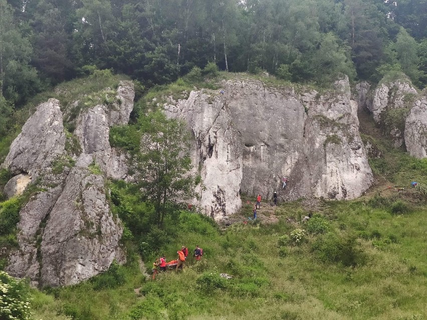 Turysta spadł ze skały w Dolinie Kobylańskiej 