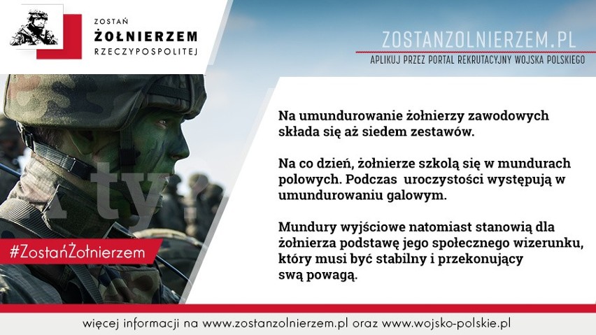 Zostań żołnierzem Rzeczypospolitej – rusza nowy system rekrutacji do Wojska Polskiego. Ile zarabia zawodowy żołnierz?