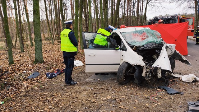 Auto roztrzaskało się na drzewie. Kierowca zginął na miejscu. Do szpitala przewieziona została 29-letnia pasażerka samochodu.