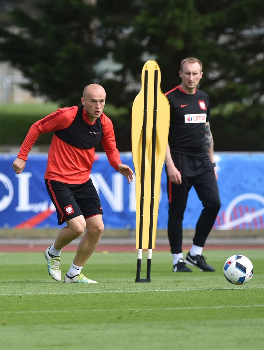 Michał Pazdan podczas Euro 2016